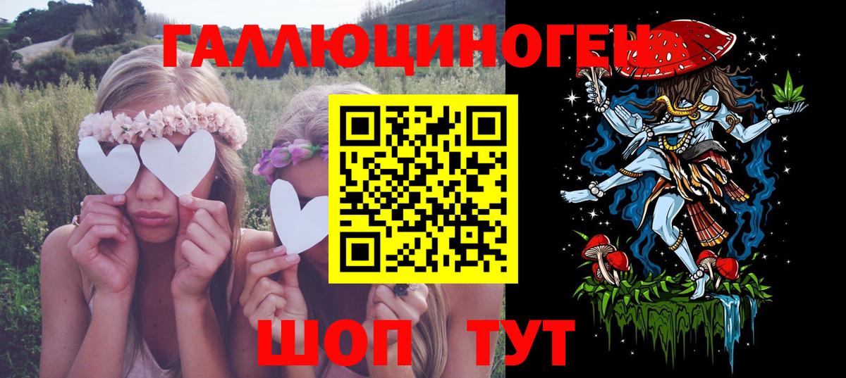 Псилоцибиновые грибы мицелий Тихвин