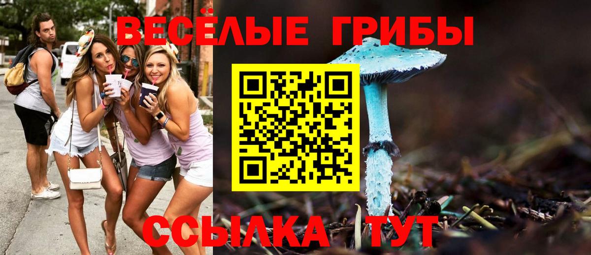Тихвин  Галлюциногенные грибы MAGIC MUSHROOMS  Галлюциногенные грибы мухоморы  Вход с VPN 